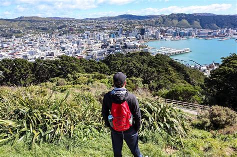 Mount Victoria Lookout: How to Get the Best Views of Wellington