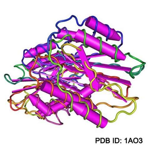 Anti-Von Willebrand Factor [3E2] Antibody - Kerafast