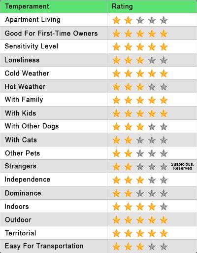 Pitbull Lab Mix - Complete Guide For A Bullador Owner - Petmoo