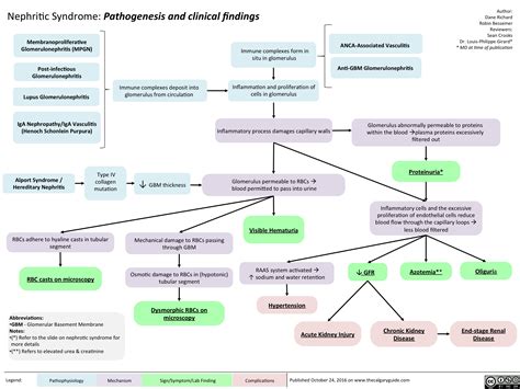 Nephritic Syndrome: Pathogenesis and clinical findings | Calgary Guide | Nephritic syndrome ...