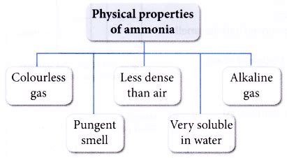 What are the physical properties of ammonia? - CBSE Library