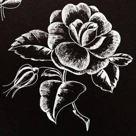 Flower Drawing Art Glass Etching Patterns - vrogue.co