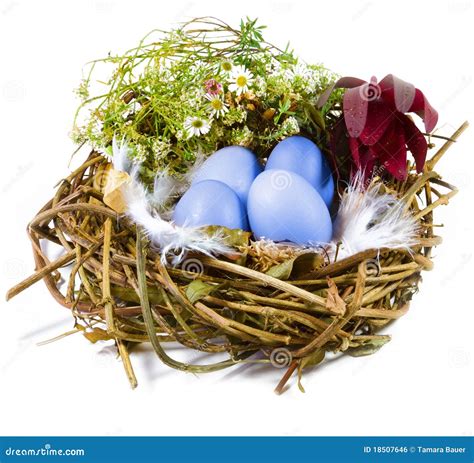 Bird nest with eggs stock photo. Image of decoration - 18507646