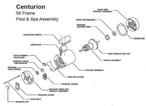 Understanding Pool Pump Motor Types - In The Swim Pool Blog