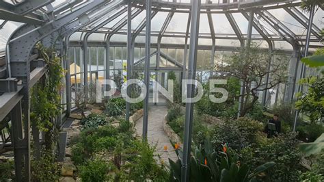 Berlin Botanical Garden Greenhouse | Fasci Garden