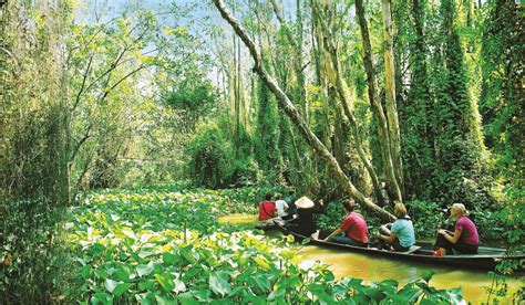 Cẩm nang du lịch Đồng Tháp Mười, cập nhật năm 2024