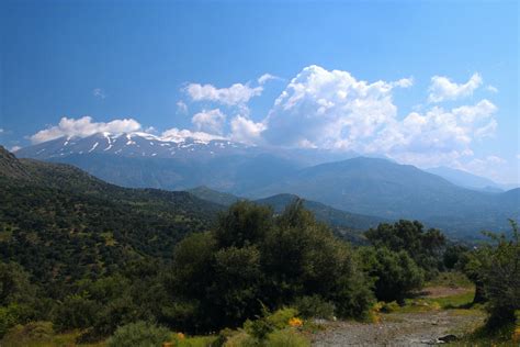 Crete Mediterranean Forests | One Earth