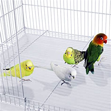 24x16x16h | Aviary Canaries Budgie Aviaries Finches Bird Breeding Flight Cage