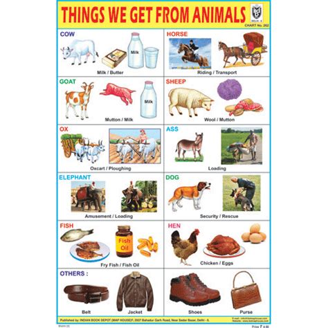 THINGS WE GET FROM ANIMALS CHART SIZE 12X18 (INCHS) 300GSM ARTCARD