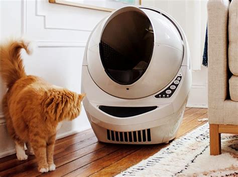 Kitty, Meet Robot. These Dependable Self-Cleaning Litter Boxes Take One ...