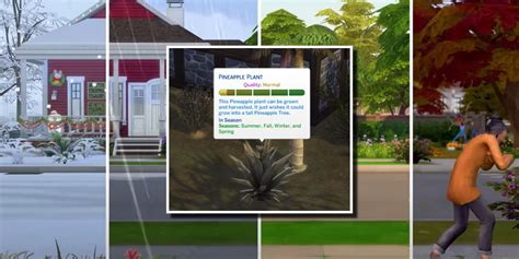 Best Mods For Gardening In The Sims 4