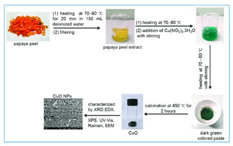 Scheme 1. Synthesis of copper oxide nanoparticles (CuO NPs) from waste ...