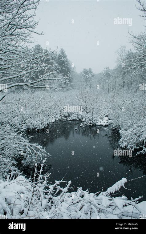 A snowy winter scene in New England Stock Photo - Alamy