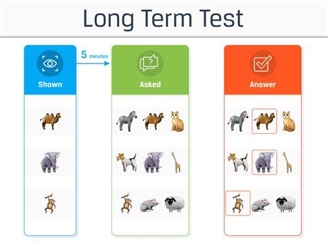 Free Memory Test (5 Mins + Instant Results) - Practical Psychology