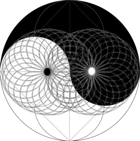 Yin yang Mapped onto the Torus | Geometry art, Sacred geometry, Geometric art