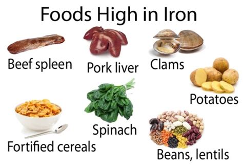 Foods High in Iron-List of High Iron Foods