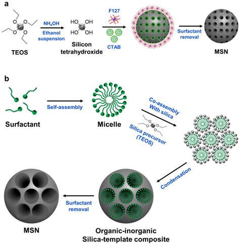 Mesoporous Silica Nanoparticles as a Gene Delivery Platform for Cancer Therapy - Pharma Excipients