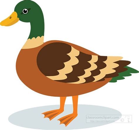 Duck Clipart Png