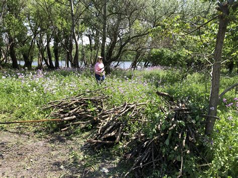 Giving Back: Cleaning Up Skokie Lagoons - Optima