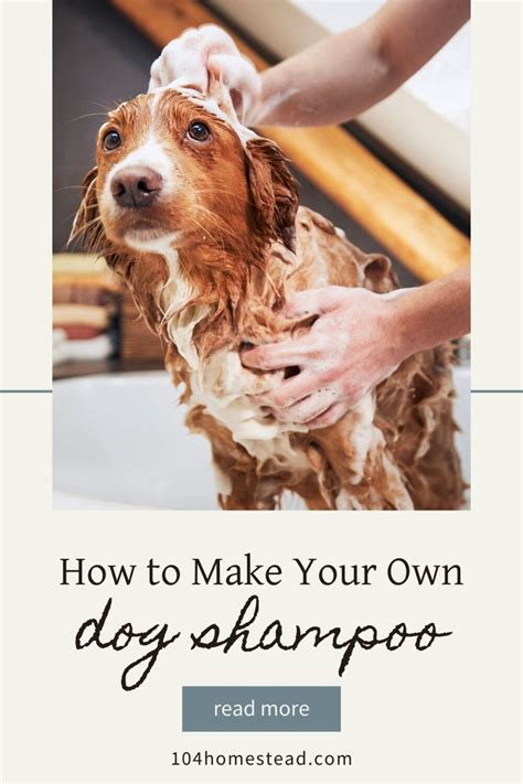 The Ultimate Guide to Making Homemade Dog Shampoo