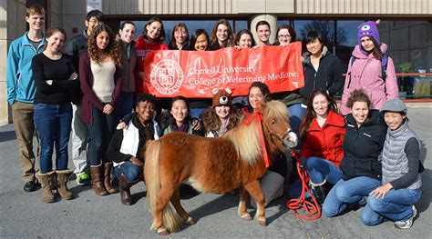 Application & Timetable | Cornell University College of Veterinary Medicine