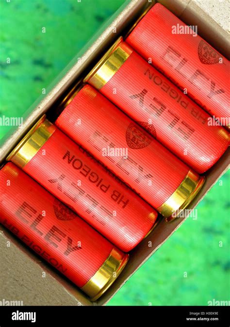 Red 12 bore shotgun cartridges Stock Photo, Royalty Free Image ...