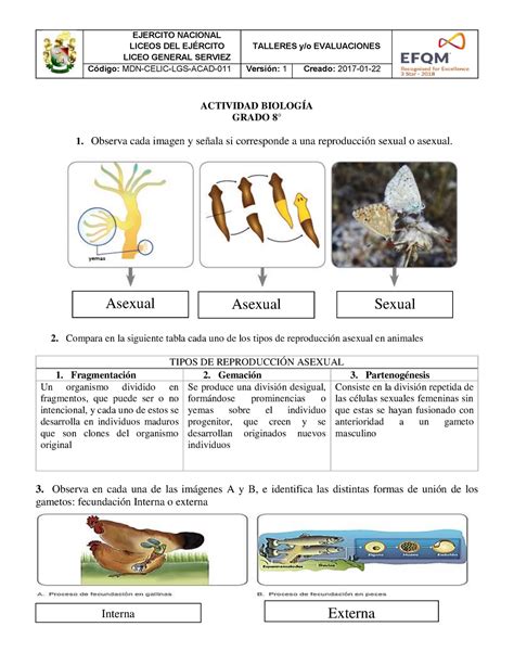 Taller Reproducción en Animales - EJERCITO NACIONAL LICEOS DEL EJÉRCITO ...