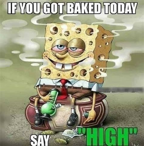 Spongebob Funny Weed Quotes