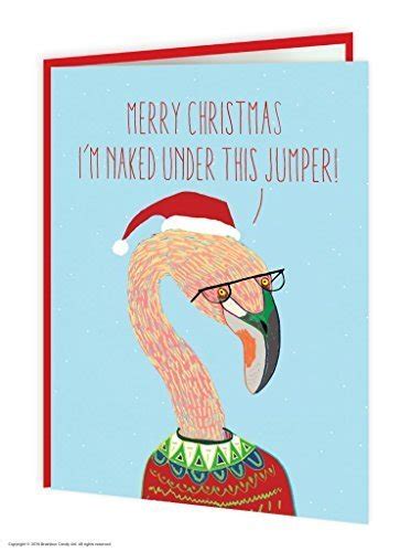 Flamingo Christmas Cards | Kritters in the Mailbox | Flamingo Holiday Card