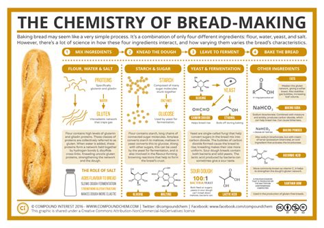 Baking Bread: The Chemistry of Bread-Making – Compound Interest Baking ...