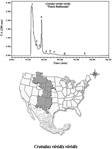 COMPARATIVE ANALYSIS OF BIOLOGICAL AND BIOCHEMICAL VENOM ...