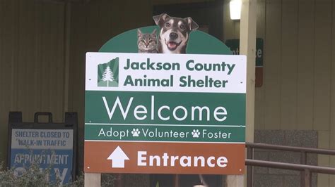 The Jackson County Animal Shelter is closed to the public - KOBI-TV NBC5 / KOTI-TV NBC2