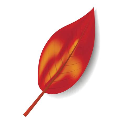 Autumn red leaf icon, realistic style 15203294 Vector Art at Vecteezy