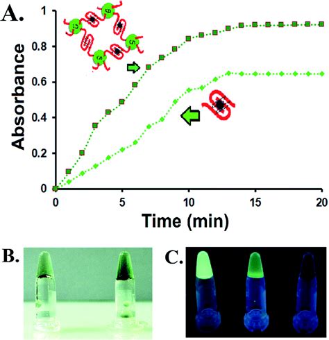 Carbon dot mediated G quadruplex nano-network formation for enhanced ...