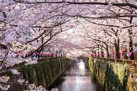 El Tiempo en Tokio | Estaciones y Meses • 【Japón】 ⛩️