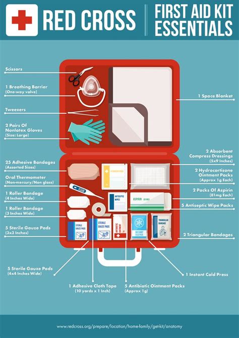 Infographic: First aid kit essentials | First aid kit checklist, First ...