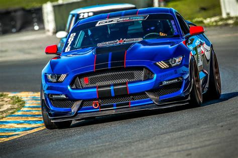 Ford Mustang Shelby GT350R vs GT500 on the Track Reviews