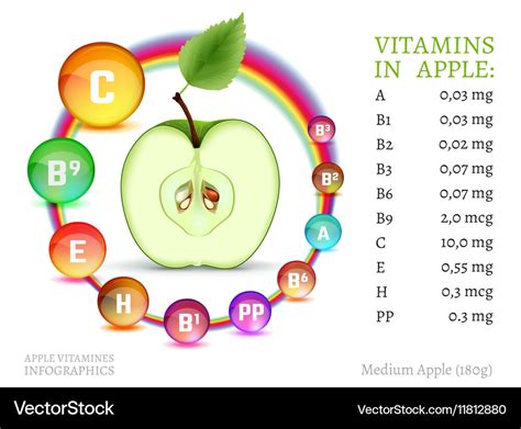 Vitamins in apple Royalty Free Vector Image - VectorStock