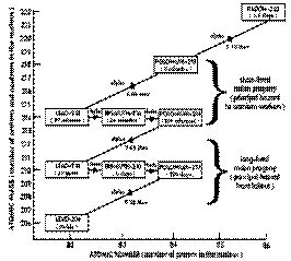 Radon in the Air - Health Issues