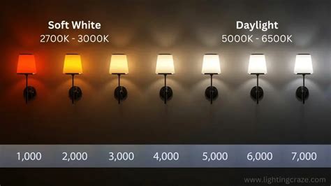 Daylight Bulbs For Photography | donyaye-trade.com