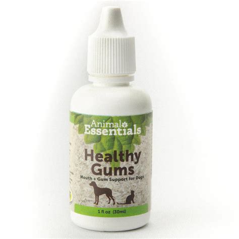 Animal Essentials Healthy Gums Mouth & Gum Support for Dogs ...