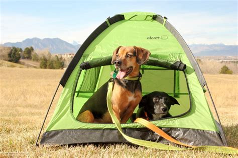 Top 5 Camping Essentials for Dogs {Stocking Stuffer Giveaway - Day #1 ...