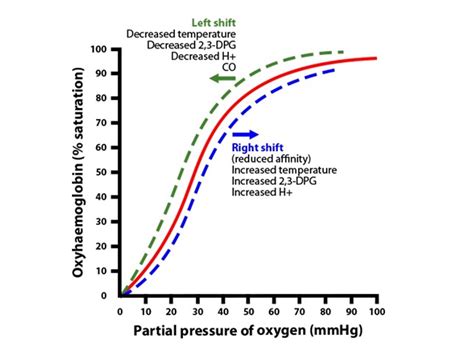 The Edge: The Oxyhemoglobin Dissociation Curve, Part 1