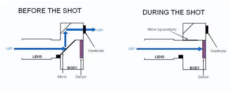 What Is An SLR Digital Camera? | Techlore