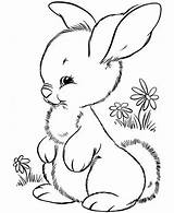 Hopping Bunny Coloring Pages sketch template