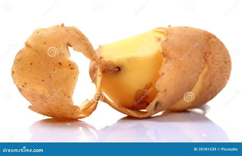 Potato peel stock image. Image of garbage, agriculture - 20181539