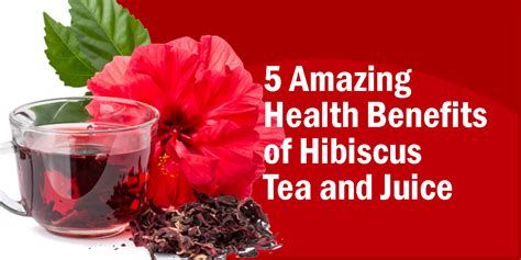 Hibiscus Flower Tea Benefits | Best Flower Site