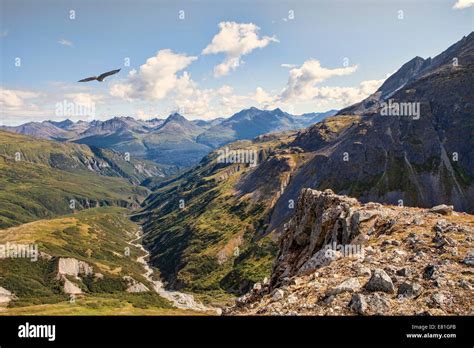 Eagle Soaring Mountains Stock Photos & Eagle Soaring Mountains Stock Images - Alamy