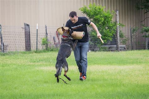 Protection Dog Training Austin Texas | Personal Protection