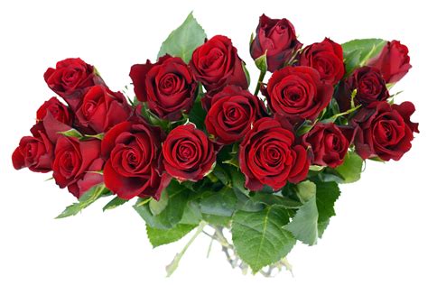 Bouquet Of Roses Png